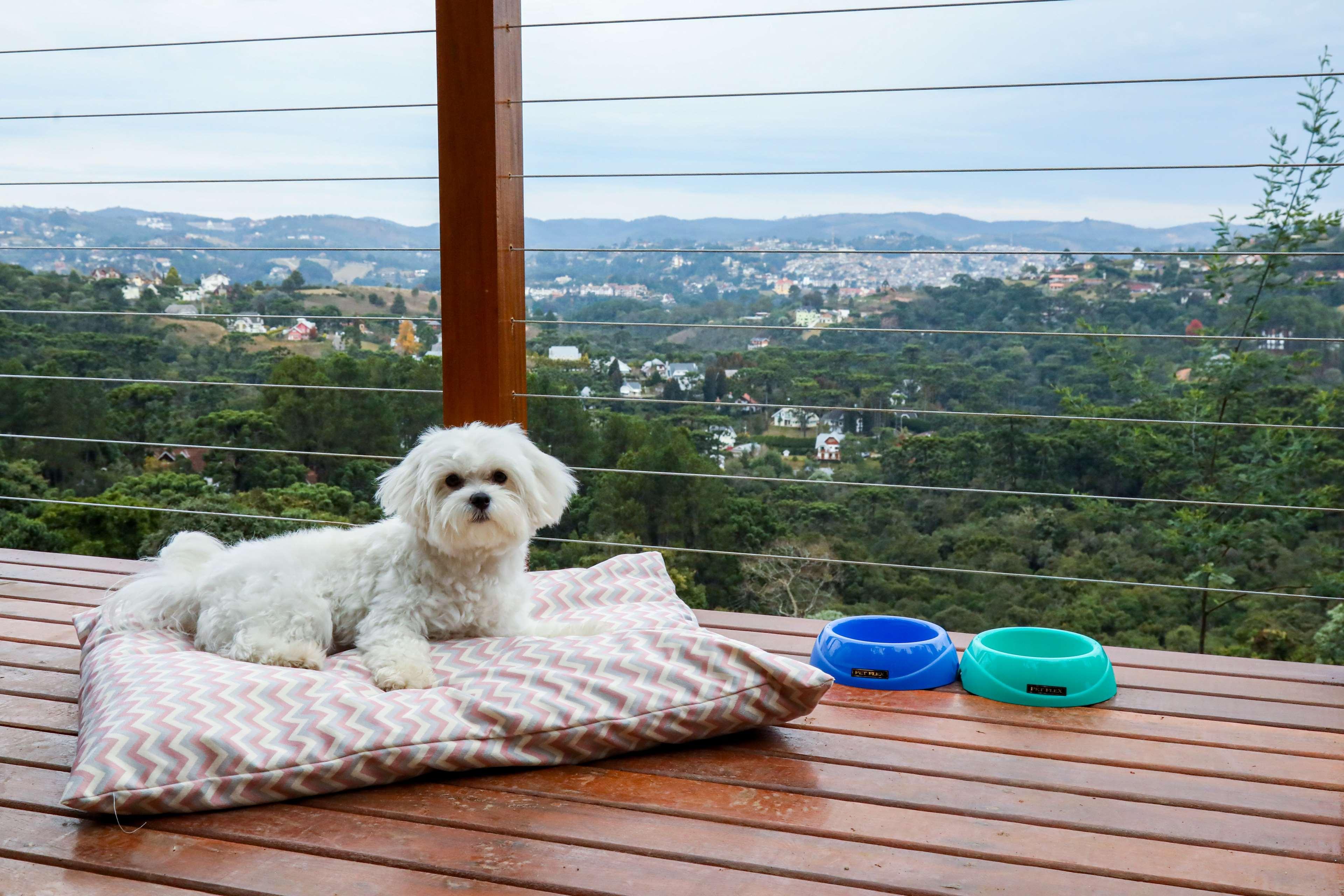 Carpe Diem Boutique E Spa Campos do Jordão Kültér fotó